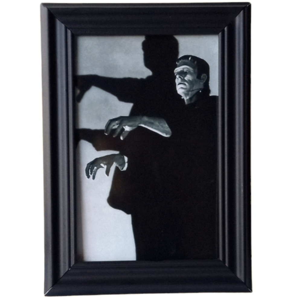 Frankenstein Vintage Monster Univseral Retro Goth History Flim Mary Shelly Art